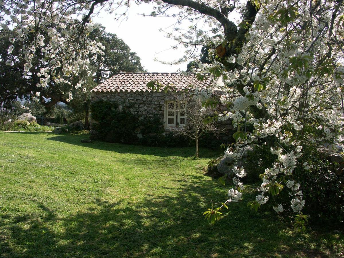Villa Li Pireddi Aglientu Exterior foto