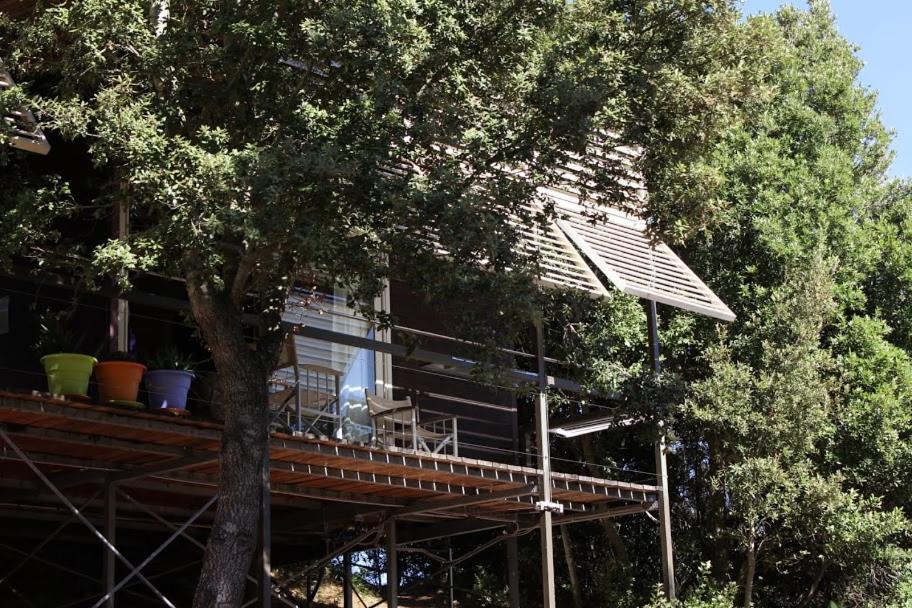 Villa Li Pireddi Aglientu Exterior foto