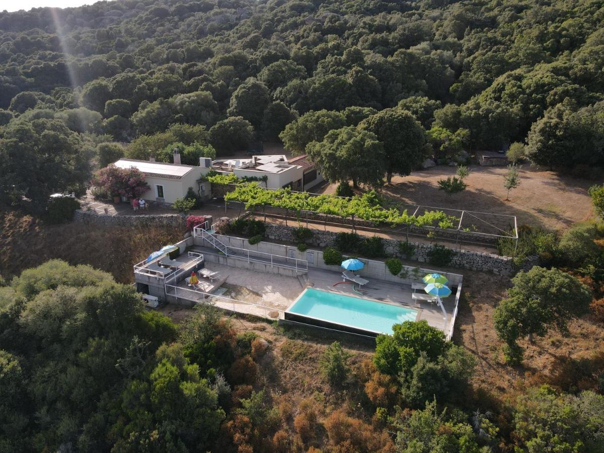 Villa Li Pireddi Aglientu Exterior foto